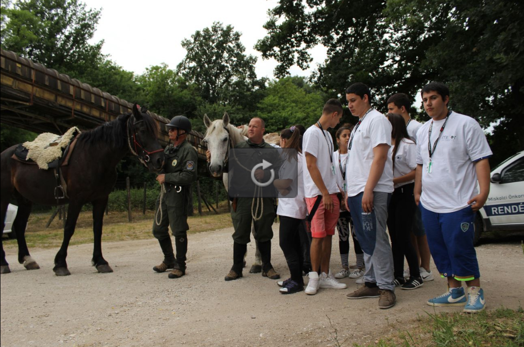 MiöR Rendészeti Tábor | 2015