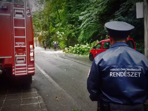 A közútra dőlt a fa Lillafüreden