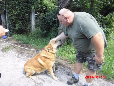 Vissza a gazdihoz